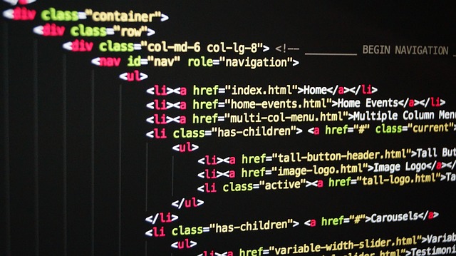 The editor write the HTML code