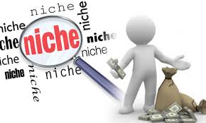 Niche = A Topic of Interest