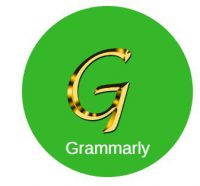 does grammarly really work