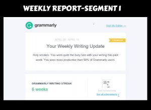 Grammaryl weekly reports