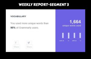 weekly report-segment 3-vocabulary